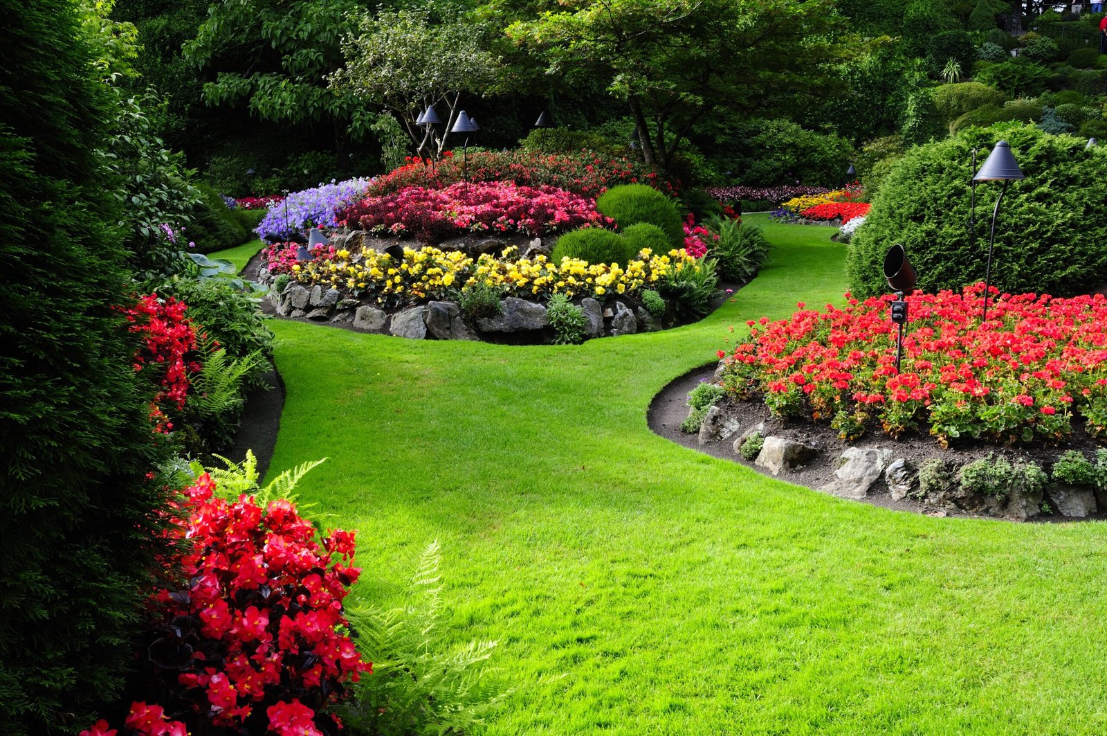 Beautiful garden space