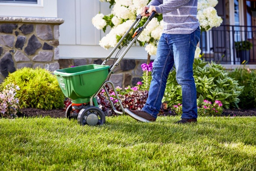 Garden maintenance